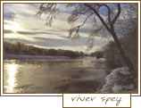 a winter morning at river spey