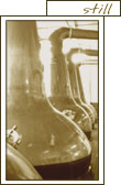 the stills at caol ila